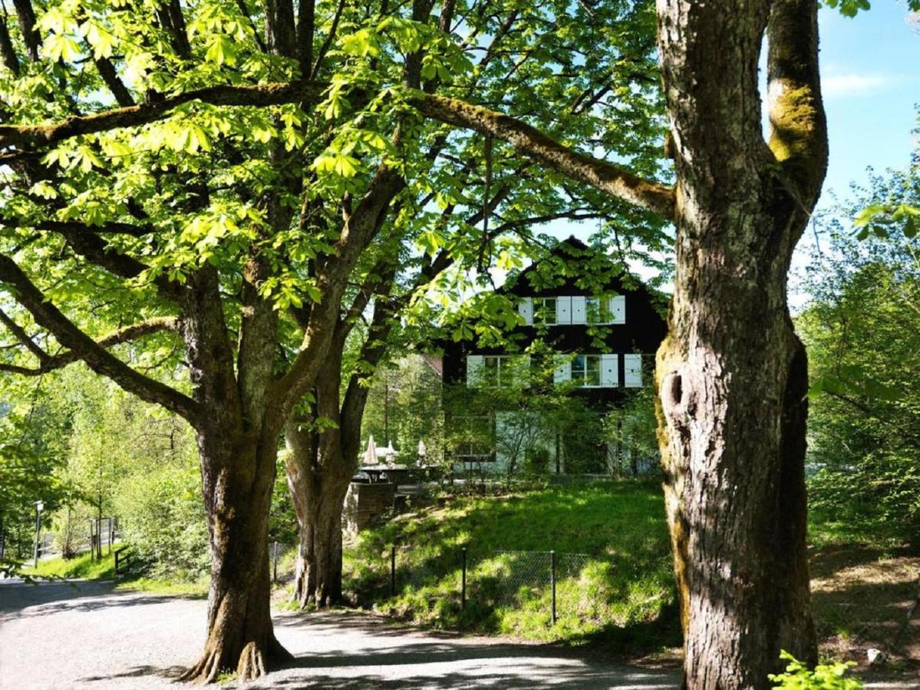 B&B Langenberg Langnau am Albis Buitenkant foto